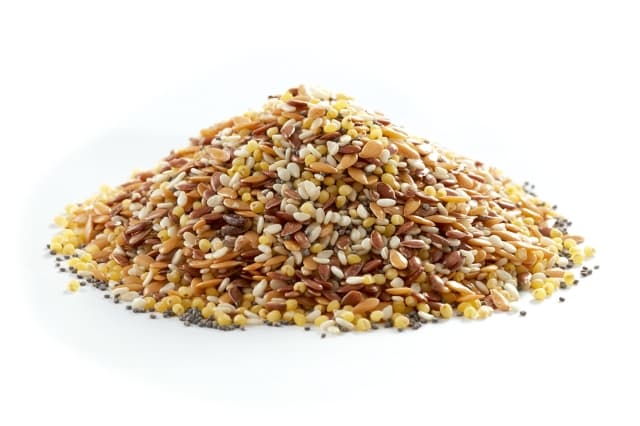 GMP PX 5 Seeds Blend